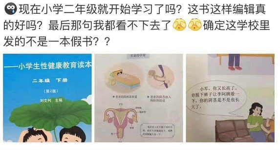 从“小学性读本引吐槽”谈谈进口图书