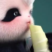 刘女士