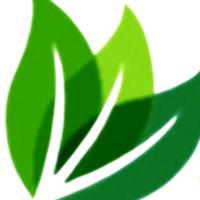 NAM VAN LONG Co., Ltd