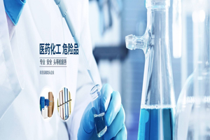 北京泛思特国际运运输代理有限公司