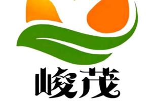 甘肃峻茂新材料科技有限公司