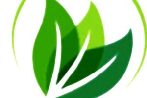 NAM VAN LONG Co., Ltd