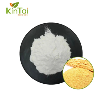 Ceramide PowderPlant Source: Rice Bran /Rice HuskC